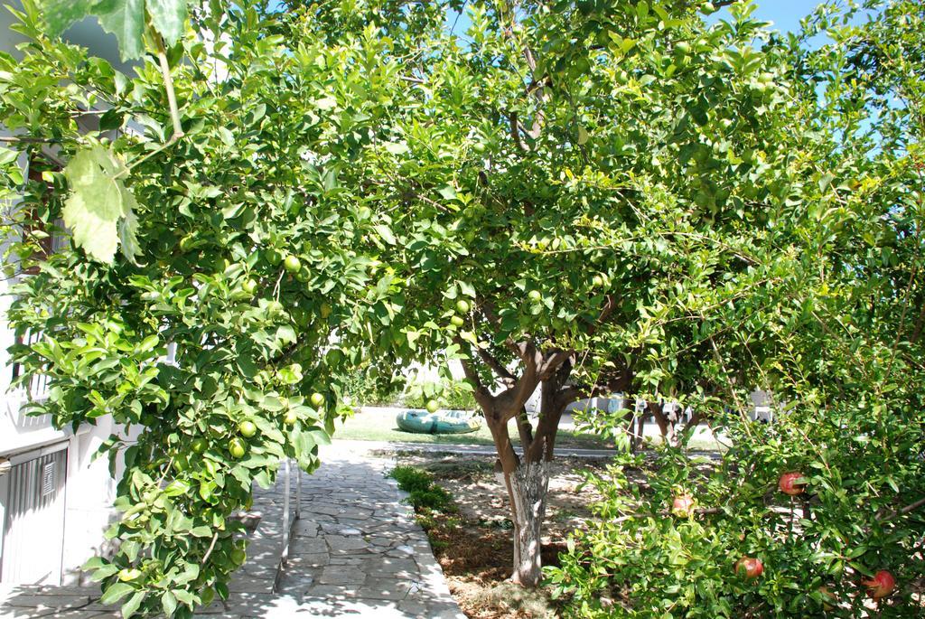 Kostas Family House Apartment Kato Assos Exterior photo