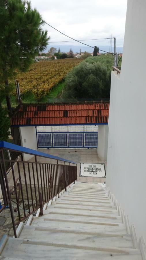 Kostas Family House Apartment Kato Assos Exterior photo